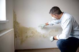 Best Biohazard Mold Removal  in Mountain View, AR